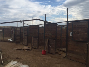 Tornado damage at Will Rogers Downs (Photo courtesy TRAO)